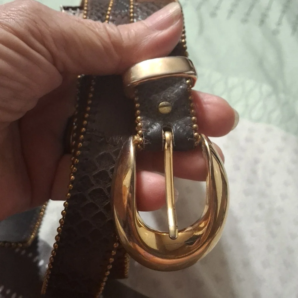 Elegant Gold Buckle Dark Brown Women's Belt